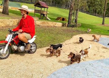 Biggest Small Dog Day at the farm!