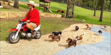 Biggest Small Dog Day at the farm!