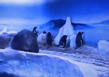 Children’s Parliament Joins Fight to Free the Fifteen!