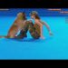 FCI Dog dance World Championship 2016 – Freestyle final  – Lusy Imbergerova and Deril (Italy) FCI Dog dance World Championship 2016 – Freestyle final  – Lusy Imbergerova and Deril (Italy)