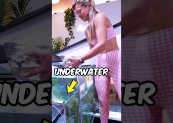 I Built a ,000 Dream Dog House 🐶