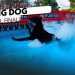 Incredible Dog Challenge: Diving Dog National Finals | NBC Sports Incredible Dog Challenge: Diving Dog National Finals | NBC Sports