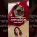 Shefali jariwala dog simba missing her #simba #shefalijariwala  #dog  #doglover #doglife Shefali jariwala dog simba missing her #simba #shefalijariwala  #dog  #doglover #doglife