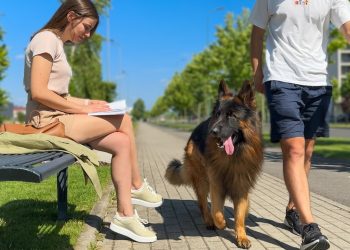 Will My Dogs Recognize Me If I Walk Right Past Them?
