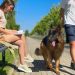 Will My Dogs Recognize Me If I Walk Right Past Them? Will My Dogs Recognize Me If I Walk Right Past Them?