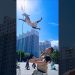power of dog man on jump #trending #dog #shortsvideo #viral #youtubeshorts power of dog man on jump #trending #dog #shortsvideo #viral #youtubeshorts