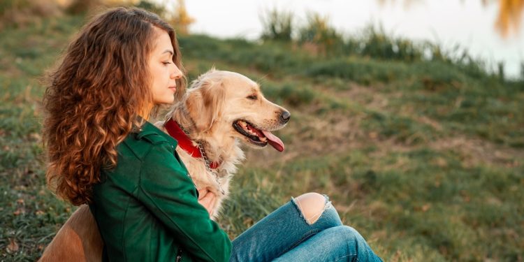 13 Velcro Dog Breeds That Stick Close To Their Humans