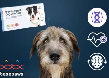 Beyond Breed: Basepaws Offers Science-Backed Insights For A Healthier Pup