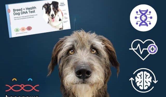 Beyond Breed: Basepaws Offers Science-Backed Insights For A Healthier Pup