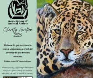 Charity Thanks Animal Artists for Wildly Successful Art Auction