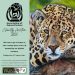 Charity Thanks Animal Artists for Wildly Successful Art Auction Charity Thanks Animal Artists for Wildly Successful Art Auction