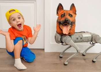 Chris wants to have a pet and plays with robo dog