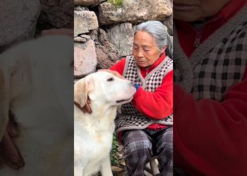 Dog Makes Grandma Life Better 😍