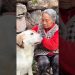 Dog Makes Grandma Life Better 😍 Dog Makes Grandma Life Better 😍