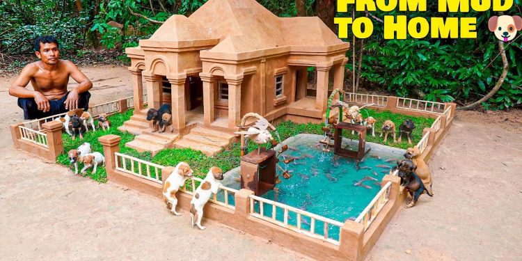 From Mud to Home: Clay Dog House Built for Rescue Puppies