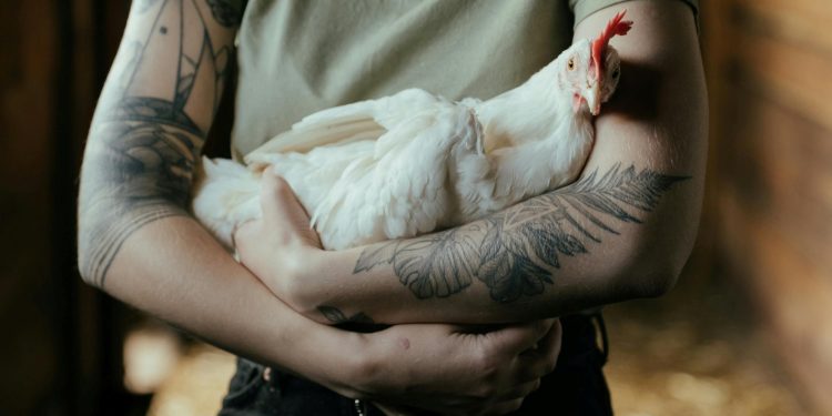 How Much Do Animals Feel? Understanding Welfare Ranges How Much Do Animals Feel? Understanding Welfare Ranges
