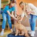 Meet DASH: The New Way to See Your Dog’s Day in Motion Meet DASH: The New Way to See Your Dog’s Day in Motion