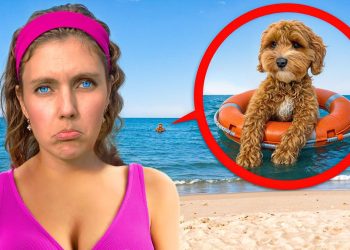 My DOG is MISSING at the BEACH