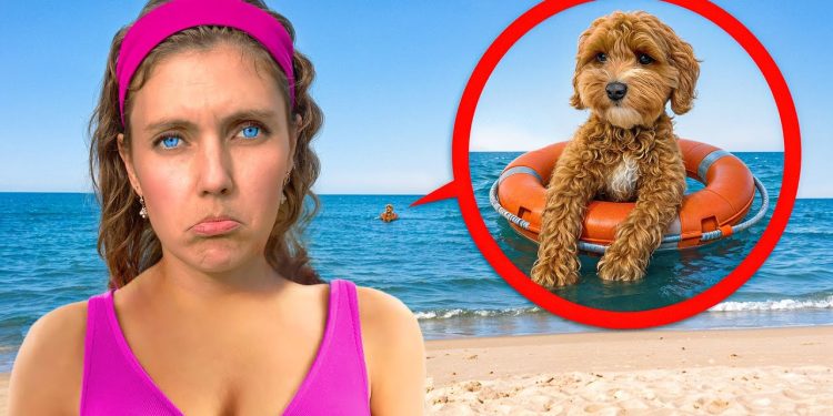 My DOG is MISSING at the BEACH
