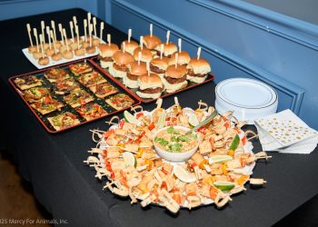 Stars Shine for “Henrietta Finds a Nest”