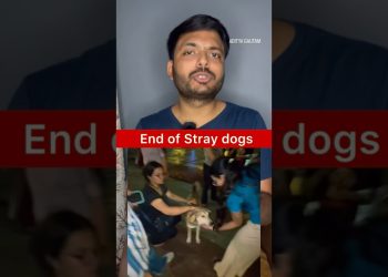 Stray dogs to be removed from DELHI NCR within 8 weeks | Shocking SC verdict #shortsfeed #dog