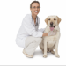 When should I vaccinate my dog? When should I vaccinate my dog?