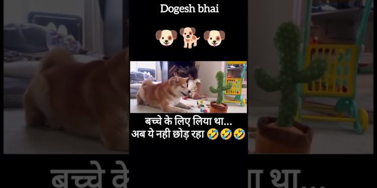 अब ये इसके मजे ले रहा हैं 😂 #shortsfeed #viral #dog #funny #funnypets #pets #petvideos #cute #love