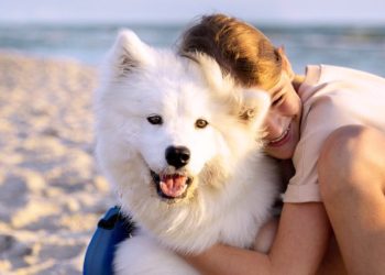 43 Can’t-Miss Early Prime Big Deal Days Discounts for Dogs