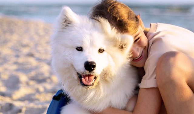 43 Can’t-Miss Early Prime Big Deal Days Discounts for Dogs
