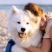 43 Can’t-Miss Early Prime Big Deal Days Discounts for Dogs 43 Can’t-Miss Early Prime Big Deal Days Discounts for Dogs