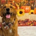 Dogs & Thanksgiving: Dos & Don’ts Dogs & Thanksgiving: Dos & Don’ts