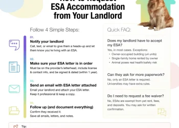 How to Request Emotional Support Animal Accommodation