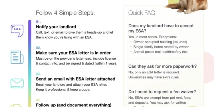 How to Request Emotional Support Animal Accommodation