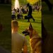K9 dog saves people in the park #dog #saves K9 dog saves people in the park #dog #saves