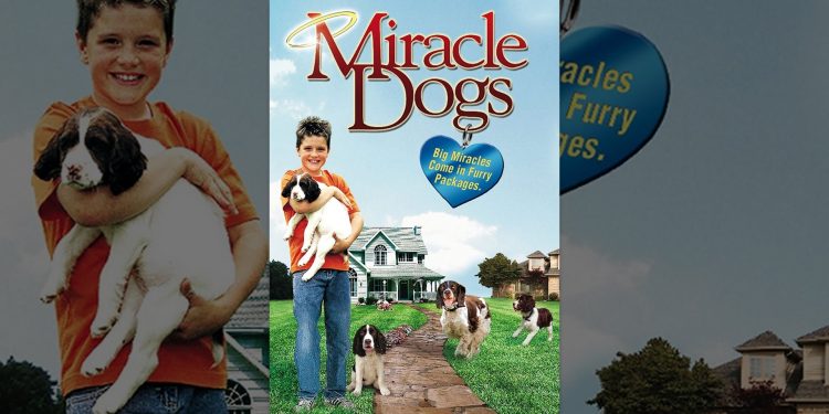 Miracle Dogs Miracle Dogs