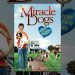 Miracle Dogs