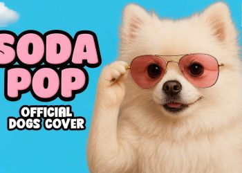 SODA POP x DOGS (Official Version)