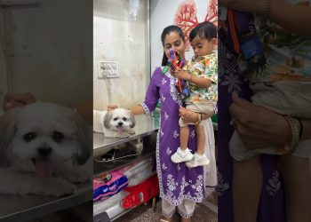 Taraksh ke Dog ka New Patta 🥰