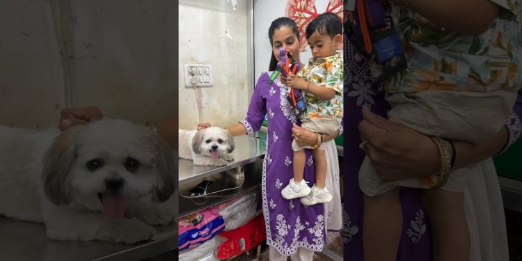 Taraksh ke Dog ka New Patta 🥰