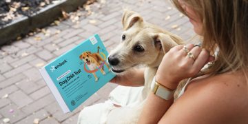 The Science of a Longer, Happier Life: How DNA Insights and Daycare Work Together for Your Dog’s Wellness The Science of a Longer, Happier Life: How DNA Insights and Daycare Work Together for Your Dog’s Wellness