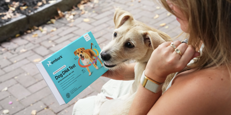 The Science of a Longer, Happier Life: How DNA Insights and Daycare Work Together for Your Dog’s Wellness The Science of a Longer, Happier Life: How DNA Insights and Daycare Work Together for Your Dog’s Wellness