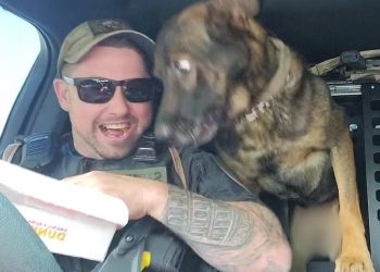 When Police Dogs Forget Their Job 😁 Funny Dog Videos 2025