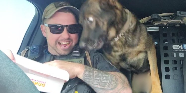 When Police Dogs Forget Their Job 😁 Funny Dog Videos 2025