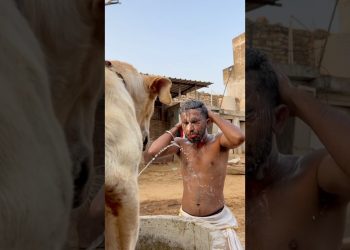 Ye Kya ker diya 😱👀🐕‍🦺#dog #shortsfeed #funny #youtubeshorts #viralvideo #spkabutarclub