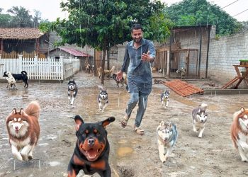 Aj Barish Main Sb Dogs Ko Bahir Khol Diya😍