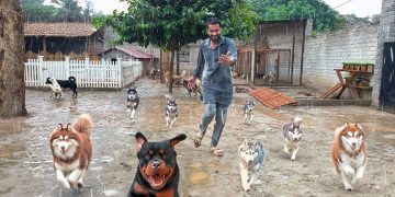 Aj Barish Main Sb Dogs Ko Bahir Khol Diya😍