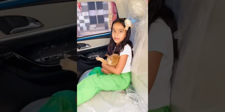 Amaira ko Street dog pasand a gya #shorts #thegeetagurjar ￼