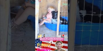 Best Friends Forever! 🐶👶❤️ |#230| #shorts #funny #baby #dog #love #bestfriend #pets #puppy #foryou Best Friends Forever! 🐶👶❤️ |#230| #shorts #funny #baby #dog #love #bestfriend #pets #puppy #foryou