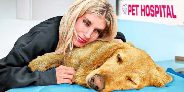 Birth To Death of My Dog *emotional*