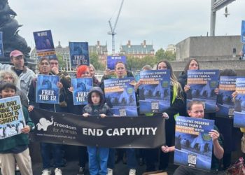 Celebrity Protest to ‘Free the Fifteen’ Captures Hearts and Headlines Celebrity Protest to ‘Free the Fifteen’ Captures Hearts and Headlines